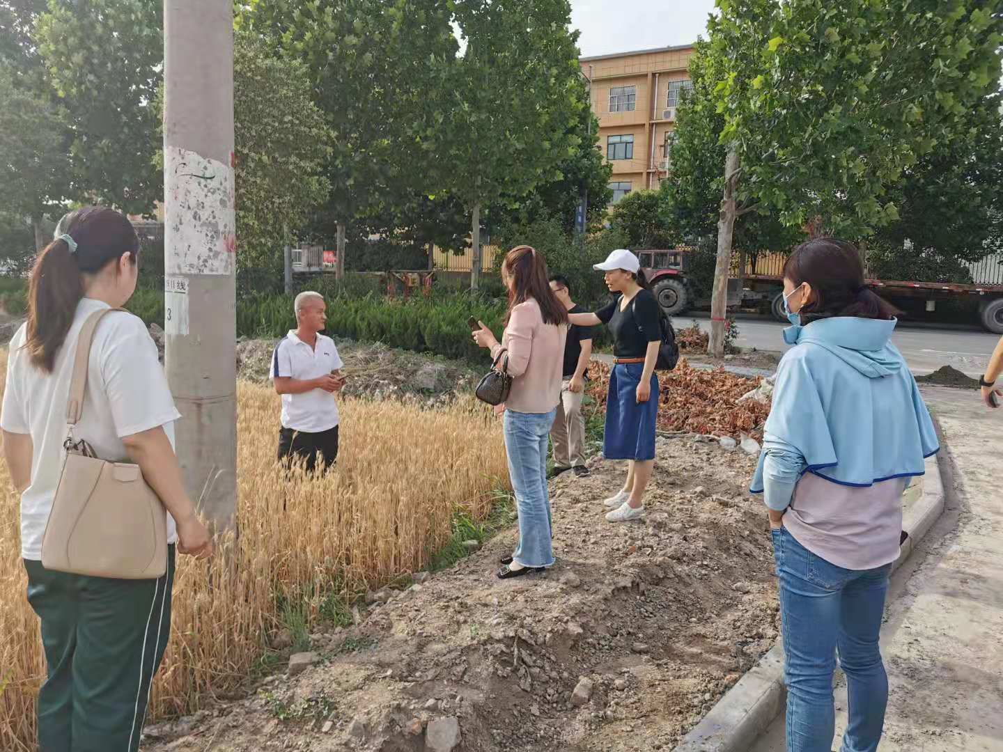 图片1.jpg